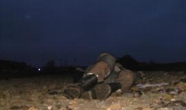 Traukinys Kretingoje pervažiavo du vyrus