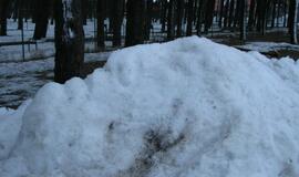 Neringoje vyko žiemos sporto ir sveikatingumo šventė