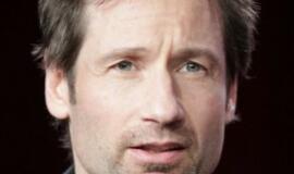 Protingiausios ir kvailiausios garsenybės