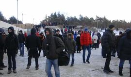 Palangoje - stintų ir ruonių šventė