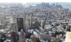 Niujorkas. Betoninė svajonė