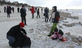 Palangoje - stintų ir ruonių šventė