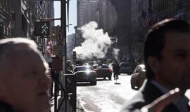 Niujorkas. Betoninė svajonė