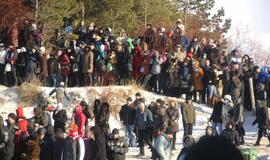 Palangoje - stintų ir ruonių šventė