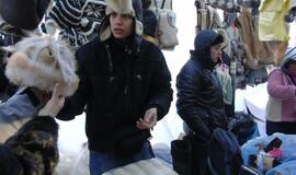 Palangoje - stintų ir ruonių šventė