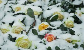 Paskutinė Justino Marcinkevičiaus kelionė į Amžinuosius namus