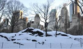 Niujorkas. Betoninė svajonė