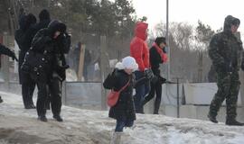 Palangoje - stintų ir ruonių šventė