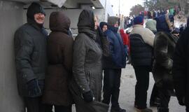 Palangoje - stintų ir ruonių šventė