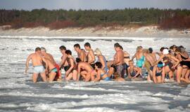 Palangoje - stintų ir ruonių šventė