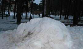 Neringoje vyko žiemos sporto ir sveikatingumo šventė