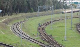 Prezidentūra: "Lietuvos geležinkelių" skaidyti į atskiras įmones nereikia