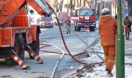 Uostamiesčio viešbutyje "Lūgnė" siautėjo ugnis