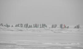 Kuršių marių ledą prie Klaipėdos apgulė žvejai