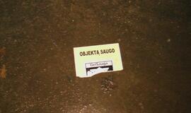 BMW fanas rėžėsi į vartus