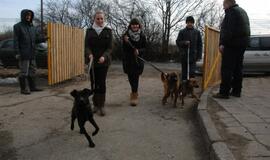 Atstatyta gyvūnų prieglauda "5 pėdutės"