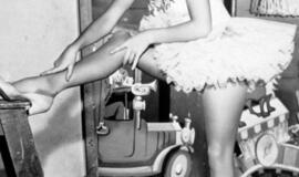 Elizabeth Taylor. Retrospektyva