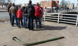 Girtas "Audi" vairuotojas sudarkė Pilies tiltą