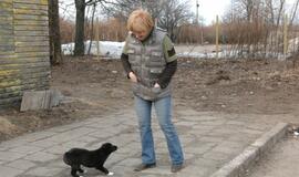 Atstatyta gyvūnų prieglauda "5 pėdutės"