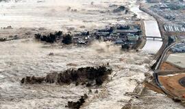 Žemės drebėjimas nusiaubė Japoniją