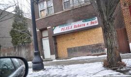 Čikaga. Gražusis Vėjų miestas