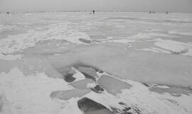 Kuršių marių ledą prie Klaipėdos apgulė žvejai