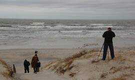 Jūros pakrantėje Smiltynėje - daugybė negyvų žuvų