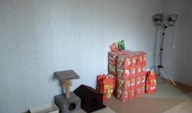 Atstatyta gyvūnų prieglauda "5 pėdutės"