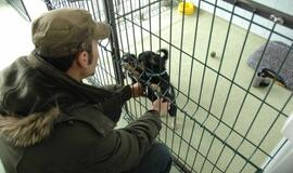 Atstatyta gyvūnų prieglauda "5 pėdutės"