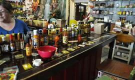 Florida. Amžinos vasaros valstija