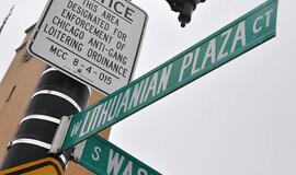 Čikaga. Gražusis Vėjų miestas