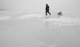 Kuršių marių ledą prie Klaipėdos apgulė žvejai