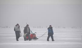 Kuršių marių ledą prie Klaipėdos apgulė žvejai
