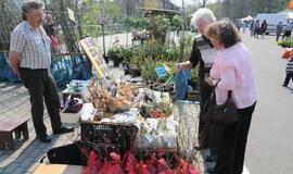 Prasidėjo paroda "Individuali statyba 2011"