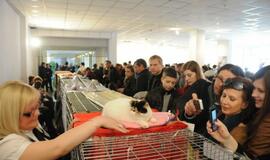 Klaipėdoje - tarptautinė kačių paroda