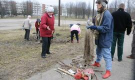 Sodinami medeliai "Draugystės" parke