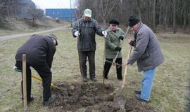 Sodinami medeliai "Draugystės" parke