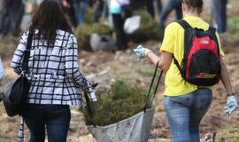 Medelių sodinimo akcija Kuršių nerijoje
