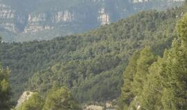 Katalonijos širdyje