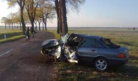 "Audi" rėžėsi į pakelės medį