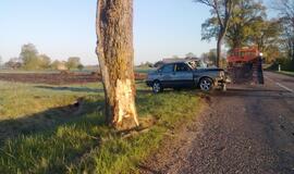 "Audi" rėžėsi į pakelės medį