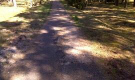 Naikinamas dviračių takas