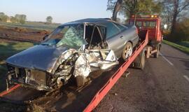 "Audi" rėžėsi į pakelės medį