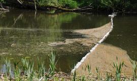 Danės upėje pastebėtos teršalų dėmės