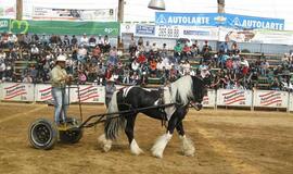 Kolumbija, mano meile