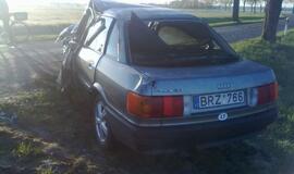 "Audi" rėžėsi į pakelės medį
