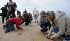 Pajūrį barstė gintarais dosni Neptūno sauja