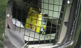 Prie Jakų apsivertė visureigis "Hummer"