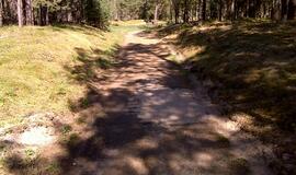 Naikinamas dviračių takas