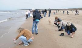 Pajūrį barstė gintarais dosni Neptūno sauja